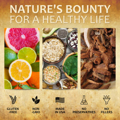 Digestive health concept with stomach icon and herbs