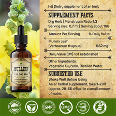 HERBALICIOUS Mullein Drops produced in the USA for quality assurance.