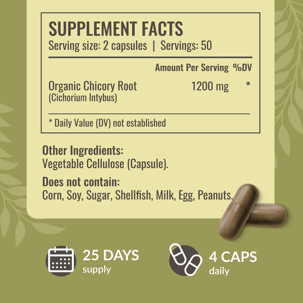 Chicory root powder inulin illustration