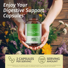 HERBAMAMA Mimosa Pudica capsules close-up showing two-ingredient formula.