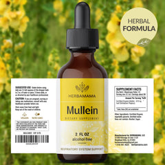28-day supply packaging for Mullein drops