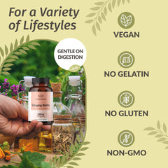 Non-GMO and no artificial colors badge with product illustration
