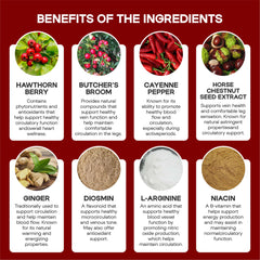 Graphic showing healthy veins and leg circulation