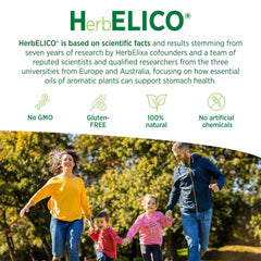 Diagram showing digestive health support from HerbELICO