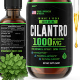 Herbify Cilantro Tincture bottle showing premium cilantro extract for daily detox