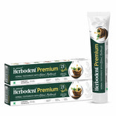 Front view of Herbodent Premium Toothpaste 2-pack