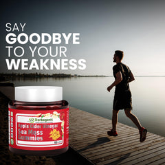 Back panel with nutrition facts for HERBOGANIC Apple Cider Gummies