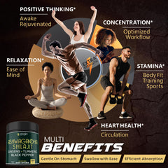 Illustration of 5-in-1 blend: Ashwagandha, Shilajit, Ginseng, Turmeric, Black Pepper