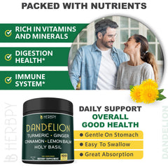 Ginger, turmeric, cinnamon, lemon balm, and holy basil ingredients