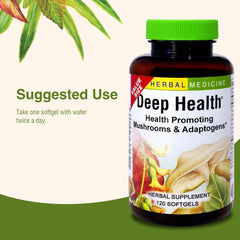 Herbs Etc. Deep Health immune support scene in wellness routine