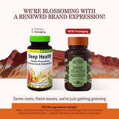 Herbs Etc. Deep Health softgels closeup highlighting easy daily use