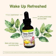 Close-up of ingredients in HERBS ETC. Deep Sleep