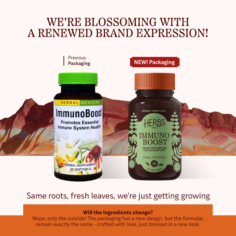 Close up of Immunoboost ingredients echinacea angustifolia and astragalus