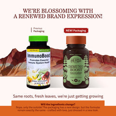 Close up of Immunoboost ingredients echinacea angustifolia and astragalus