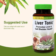 Concept image showing liver and gallbladder health with herbs