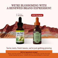 Close-up of Herbs Etc. Lung Tonic bottle and dropper