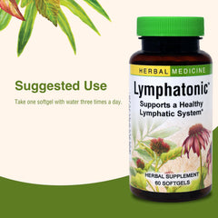 Organic ingredients used in Lymphatonic SG