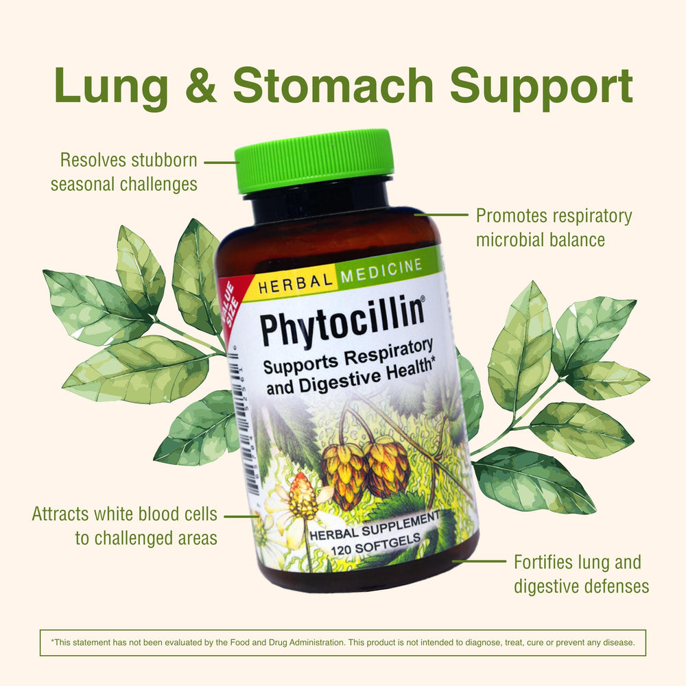 Herbs, Usnea, Yerba Mansa and Echinacea in Phytocillin