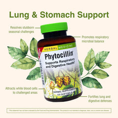 Herbs, Usnea, Yerba Mansa and Echinacea in Phytocillin
