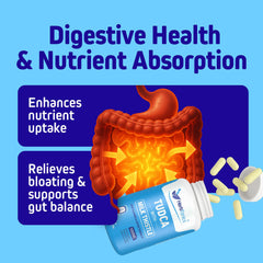 Herbtonics Digestive health illustration highlighting bile production and absorption.
