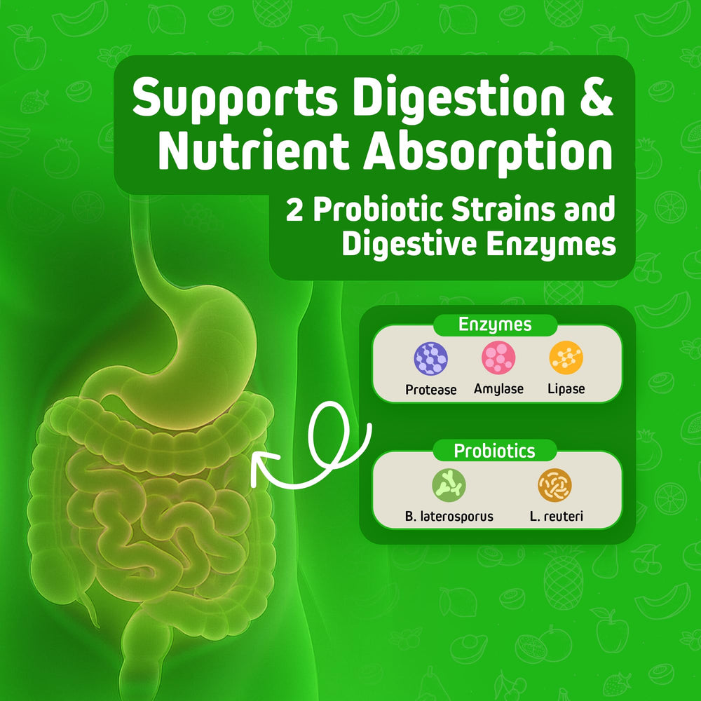 Probiotics, CoQ10 and turmeric ingredients banner