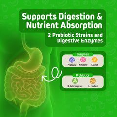 Probiotics, CoQ10 and turmeric ingredients banner