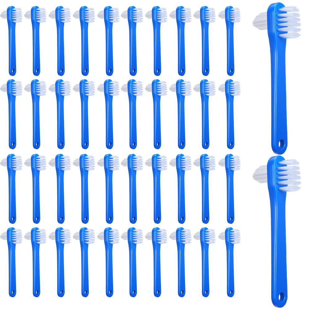 Hidyuuoo 60-piece denture brush kit box with blue brushes