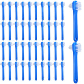 Hidyuuoo 60-piece denture brush kit box with blue brushes