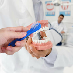 Denture brush cleaning dentures in a bathroom setting