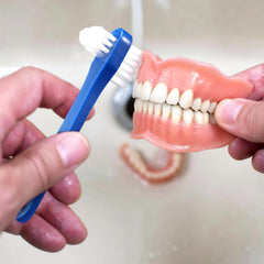 60 brushes displayed together for denture care