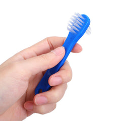 Blue denture brushes arranged for storage and display