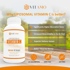 High absorption ascorbic acid liposomal vitamin C