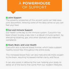 Graphic illustrating high absorption curcumin formula