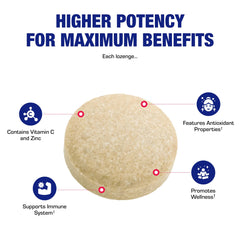 Graphic illustrating high absorption vitamin C with zinc