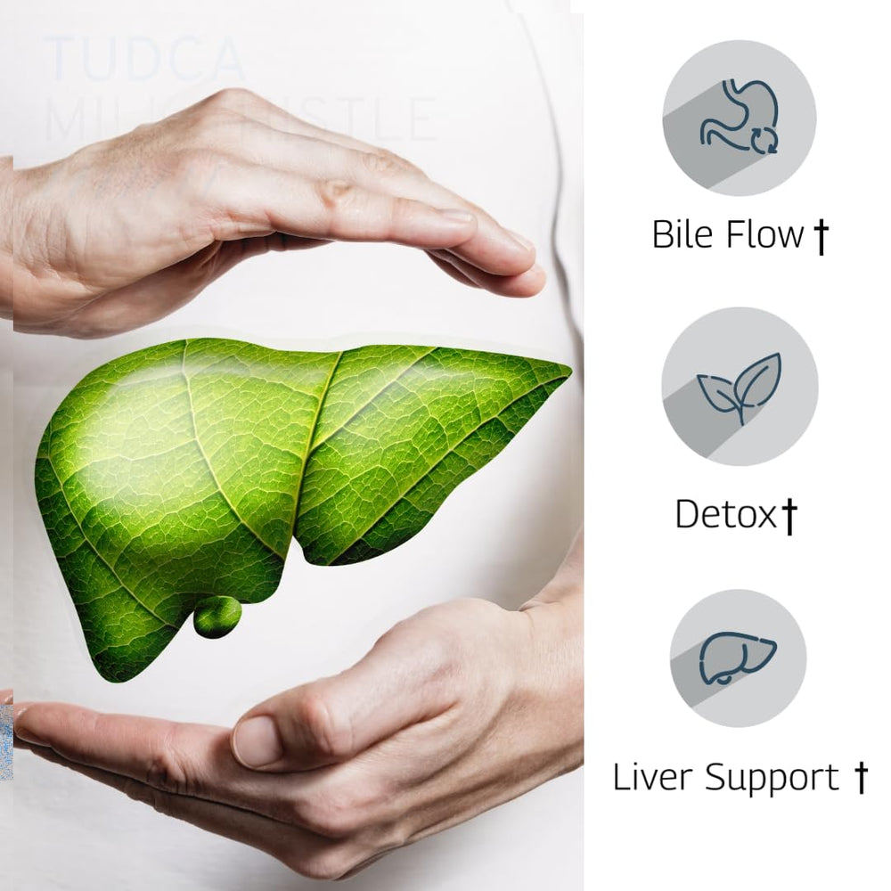 Milk Thistle extract 80% Silymarin flavonoids high potency