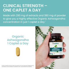 Front of Himalaya Ashwagandha 30-day supply box