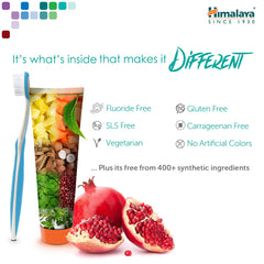 Cinnamon flavor Himalaya Botanique toothpaste tube