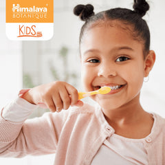 Box packaging and Himalaya Botanique branding