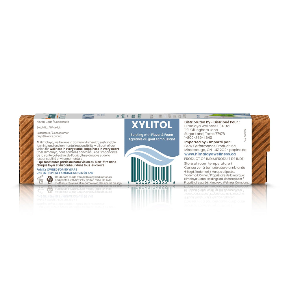 Mint cooling flavor and foaming toothpaste texture