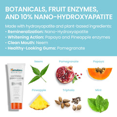 Vegan mint toothpaste in 3 oz tube