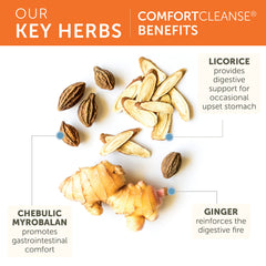 Ginger, licorice, and chicory blend illustration for ComfortCleanse