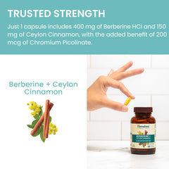 Himalaya family-owned herbal brand logo and heritage