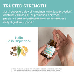 cGMP facility certification