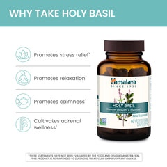 Holy Basil extract-based Ayurvedic formulation