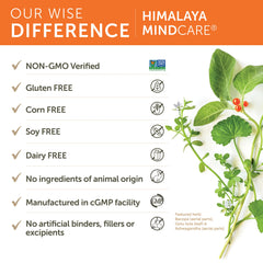 Ashwagandha ingredient in MindCare nootropic
