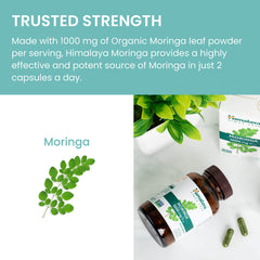 Himalaya Moringa packaging box and bottle