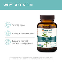 Neem leaf extract ingredients close up