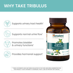 Natural Tribulus extract capsules on white background