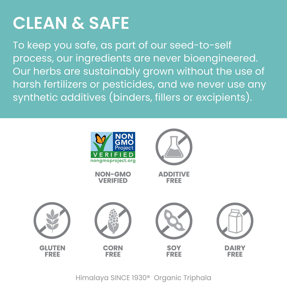 Wellness lifestyle image representing digestive health