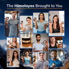 Himalayan mountains source of Shilajit resin